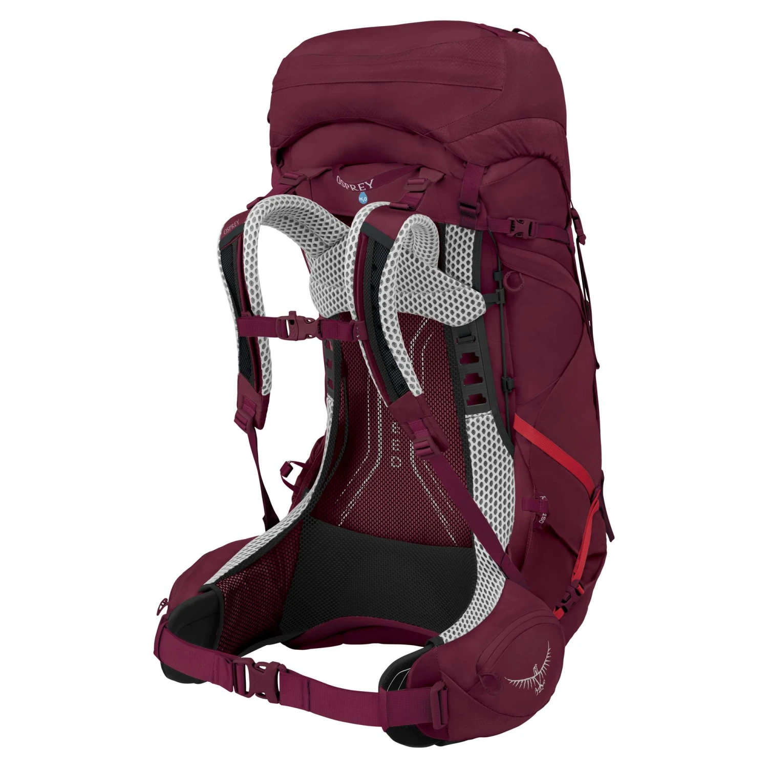 Osprey AURA AG LT 50 Damen - Trekkingrucksack Damen 2 Osprey AURA AG LT 50 Damen - Trekkingrucksack Damen – Bild 2